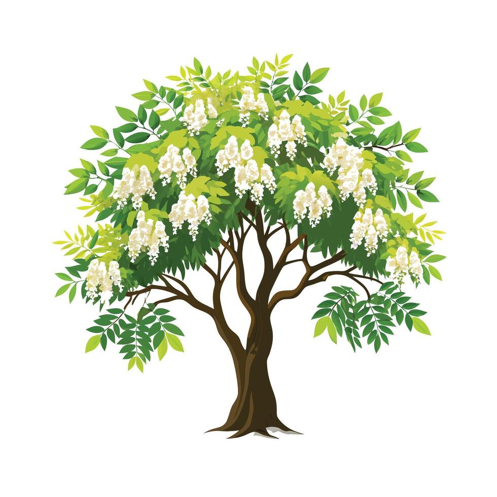 Beautiful Single Big Tree Illustration vector