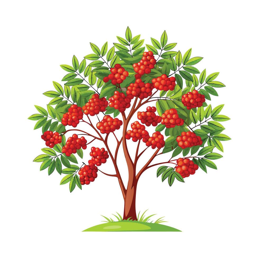 Beautiful Single Big Tree Illustration vector
