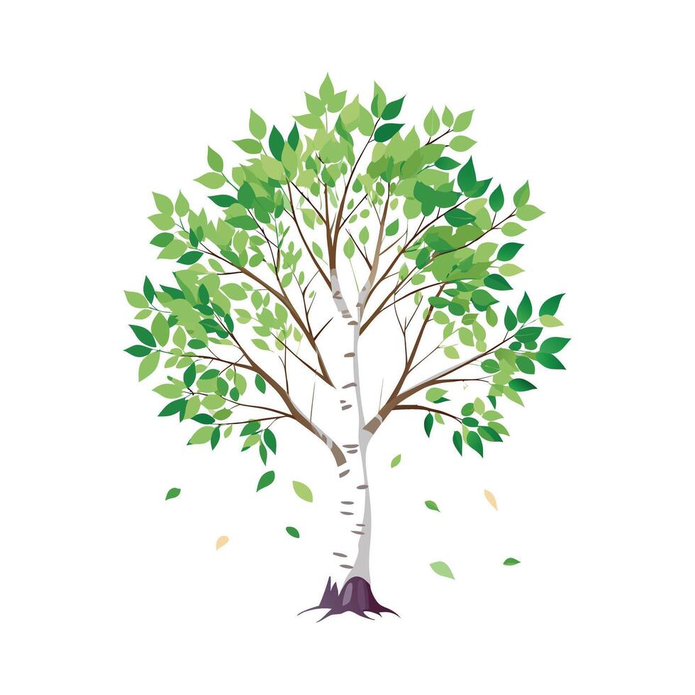 Beautiful Single Big Tree Illustration vector