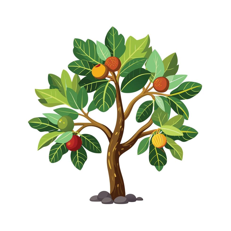 Beautiful Single Big Tree Illustration vector