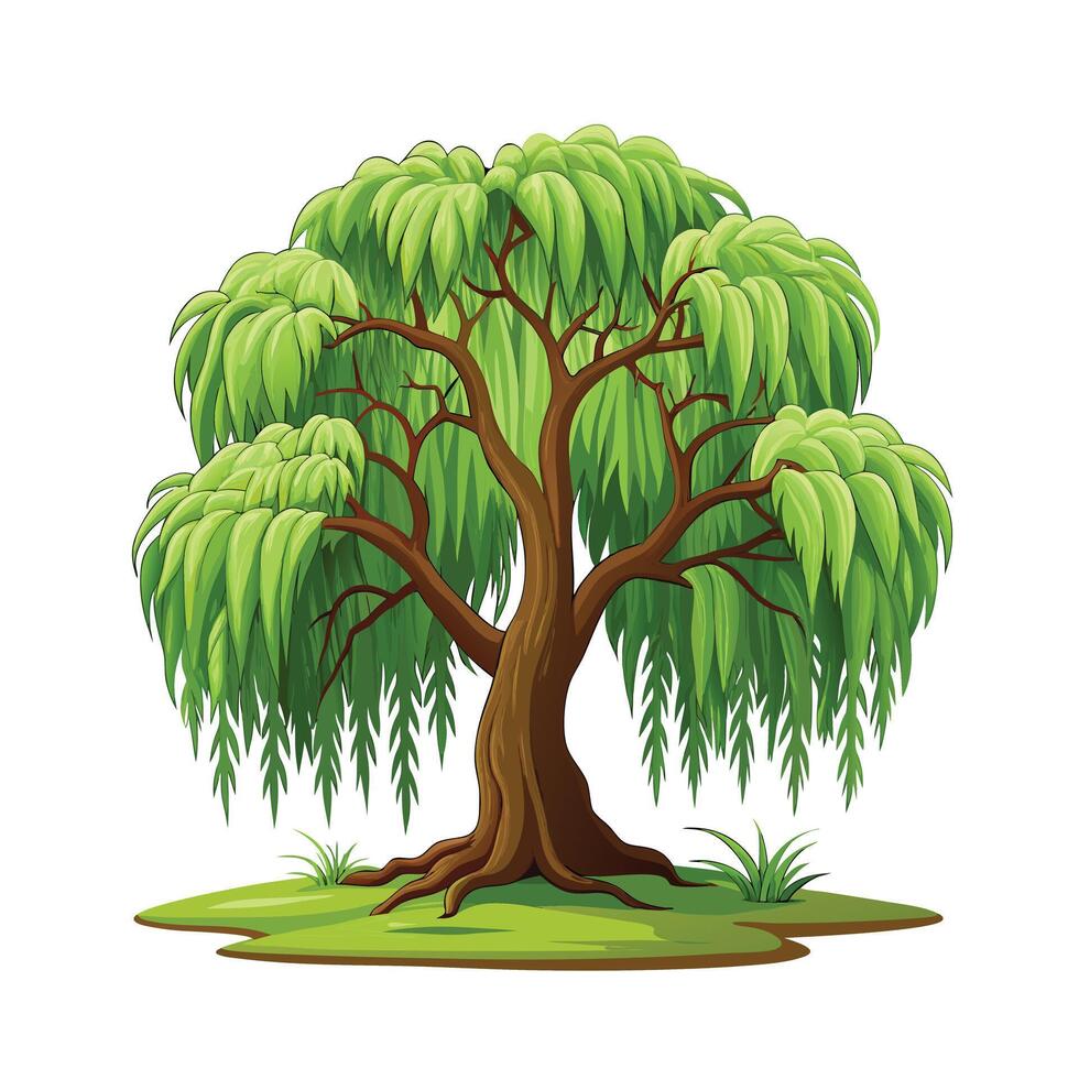 Beautiful Single Big Tree Illustration vector