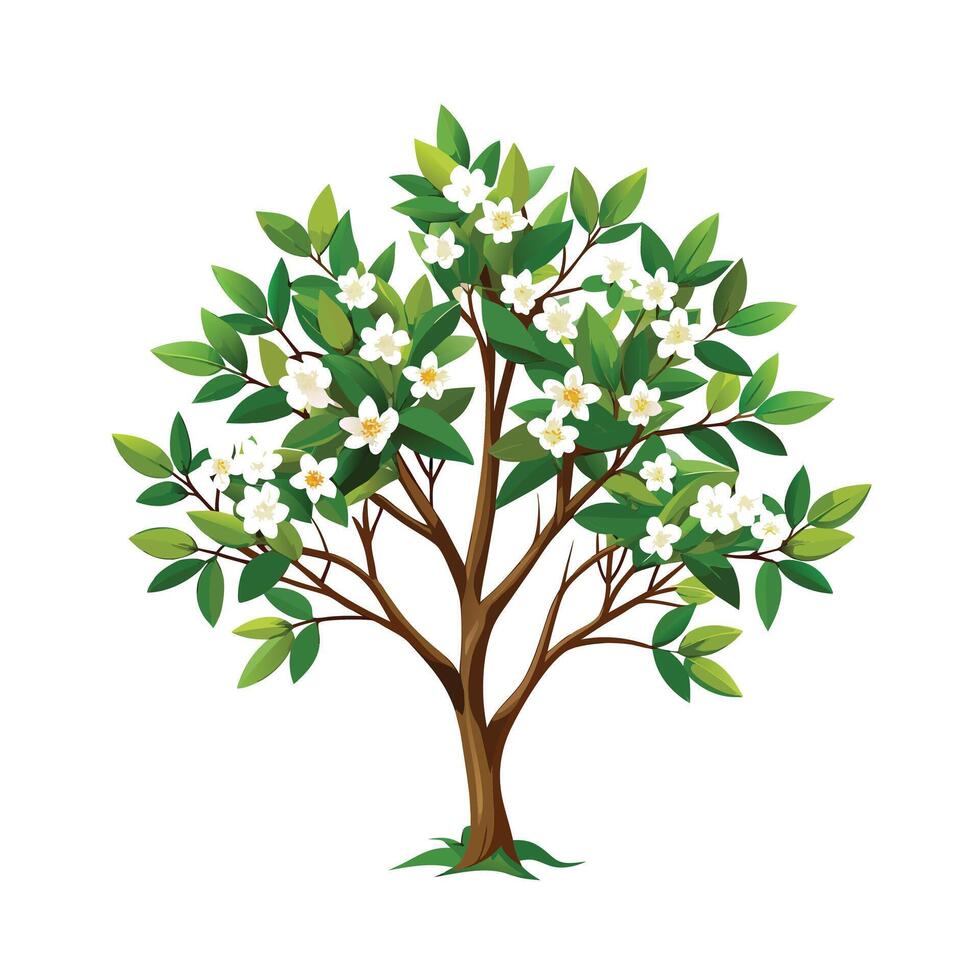 Beautiful Single Big Tree Illustration vector