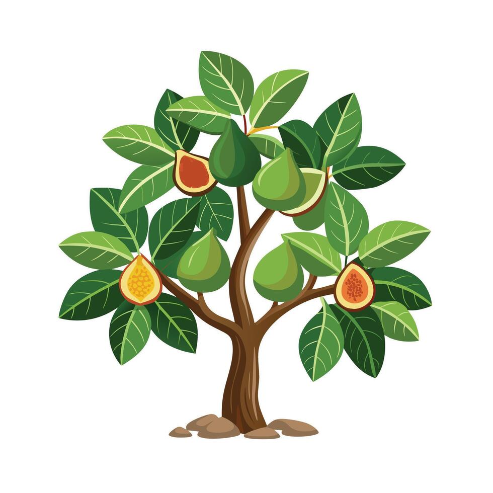 Beautiful Single Big Tree Illustration vector