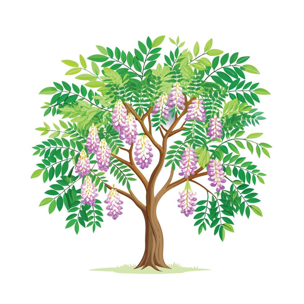 Beautiful Single Big Tree Illustration vector