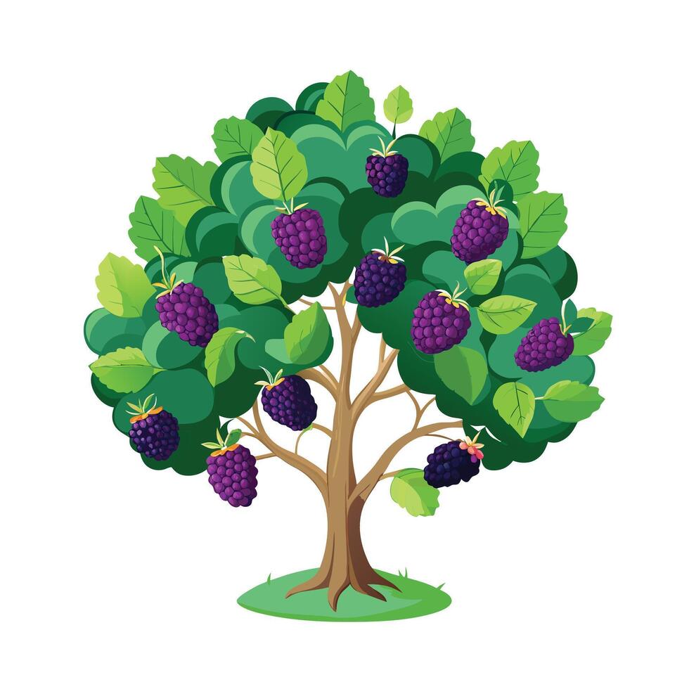 Beautiful Single Big Tree Illustration vector