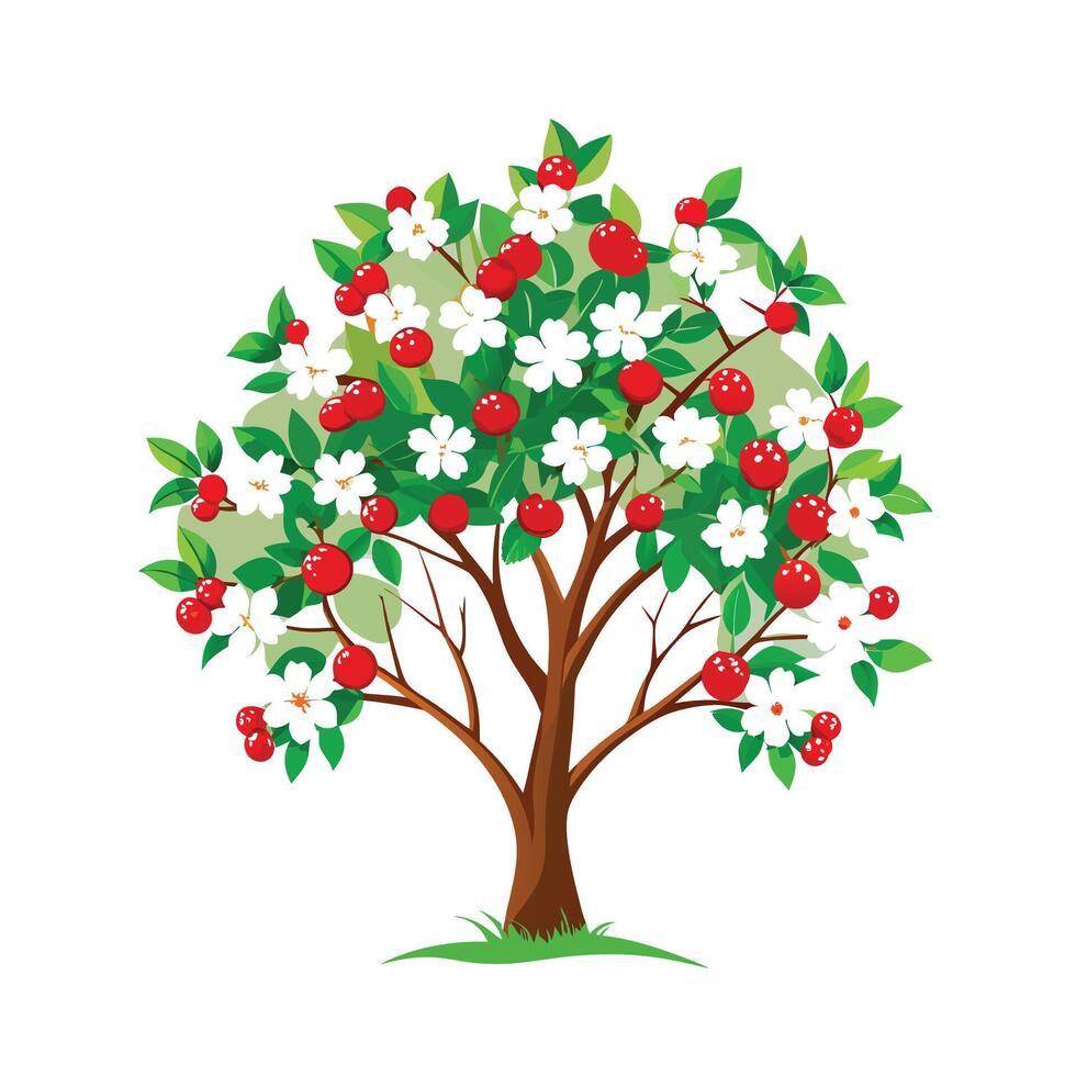 Beautiful Single Big Tree Illustration vector