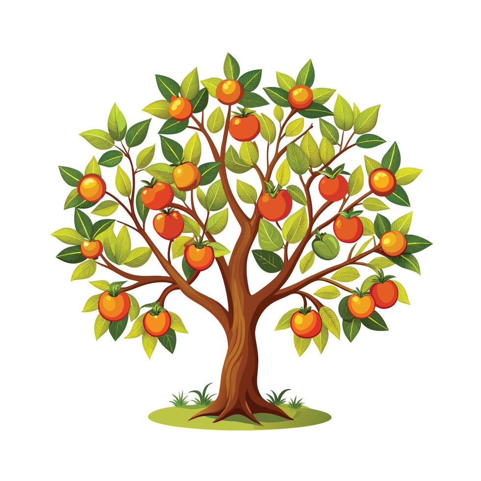 Beautiful Single Big Tree Illustration vector