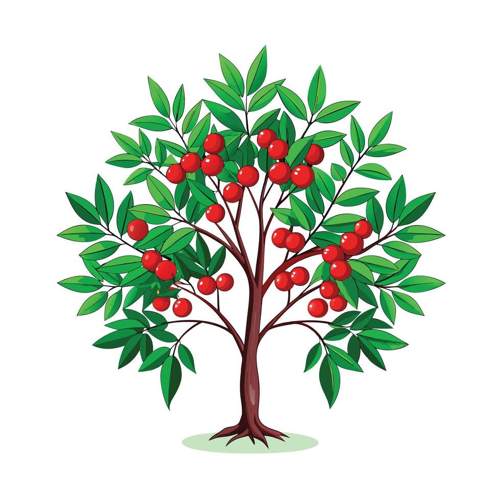 Beautiful Single Big Tree Illustration vector