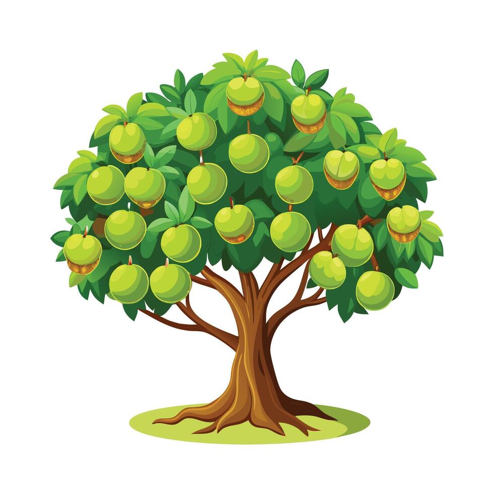 Beautiful Single Big Tree Illustration vector