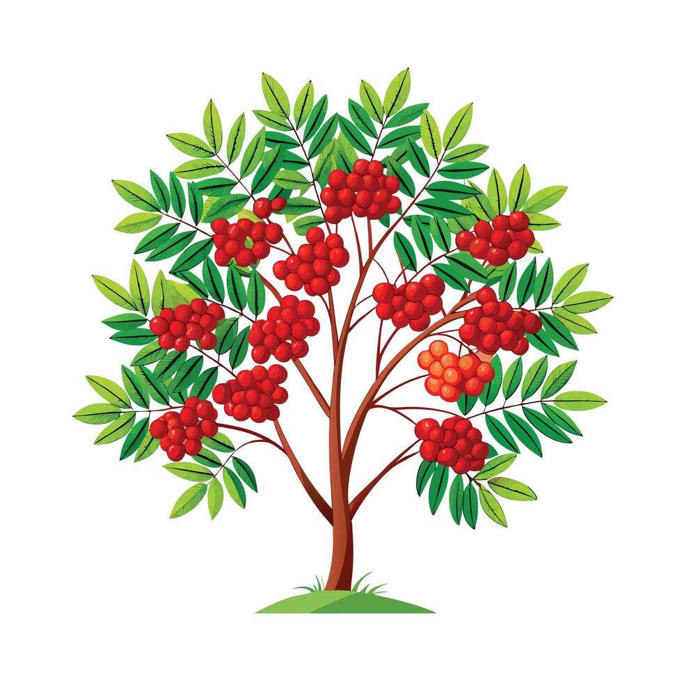 Beautiful Single Big Tree Illustration vector