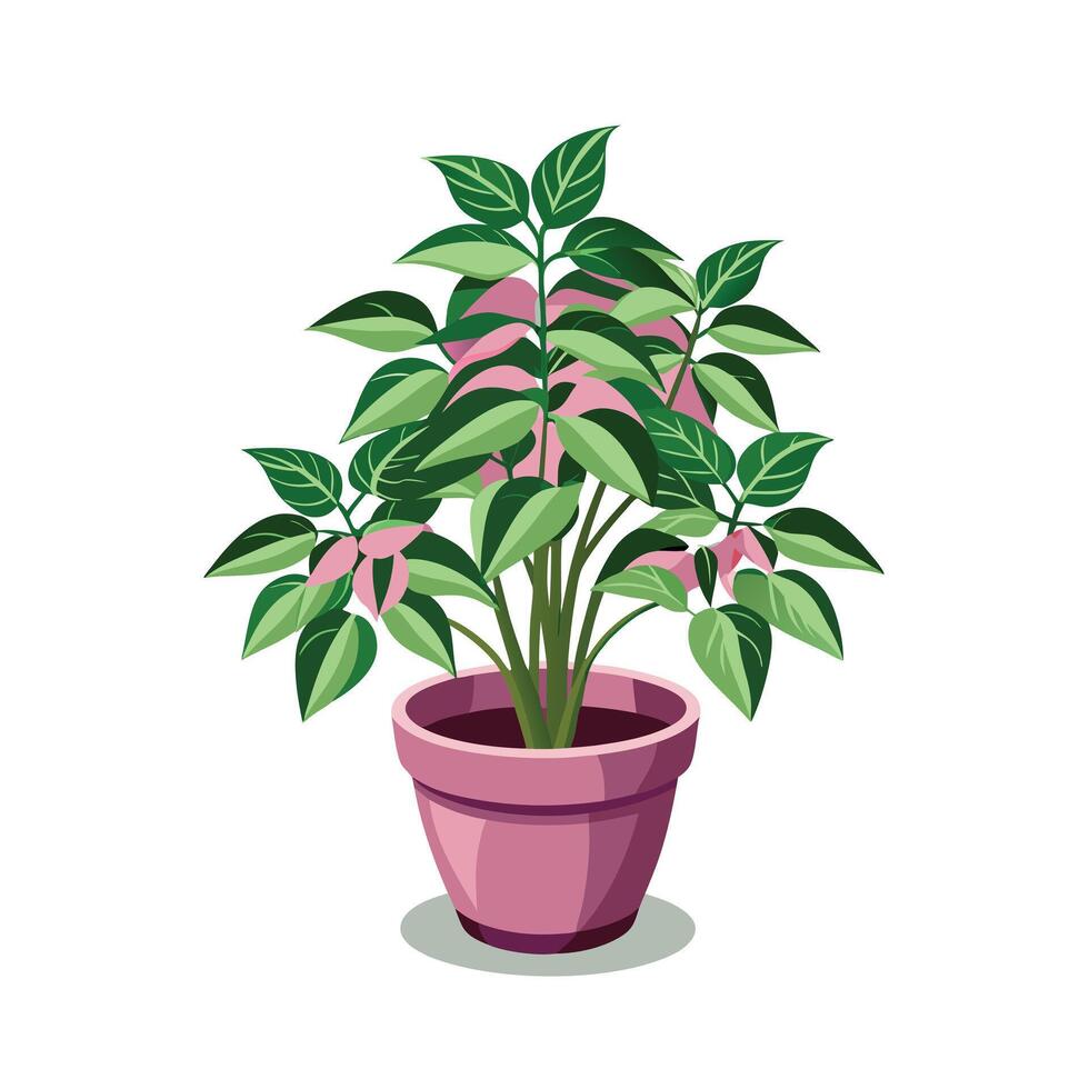 Beautiful Flowerpot Houseplant Illustration vector