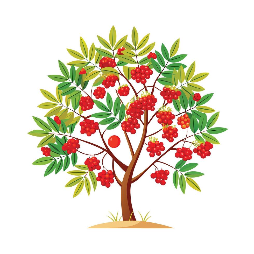 Beautiful Single Big Tree Illustration vector