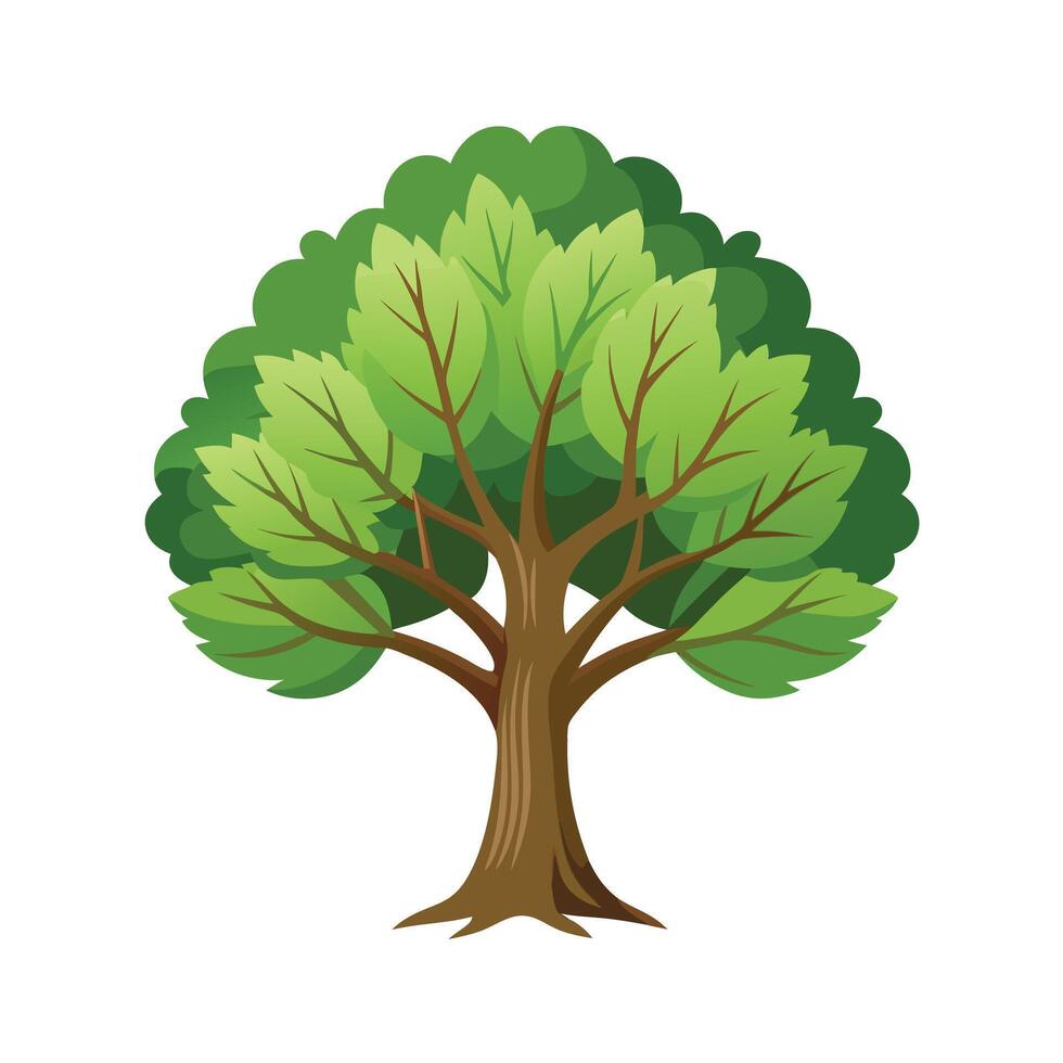 Beautiful Single Big Tree Illustration vector