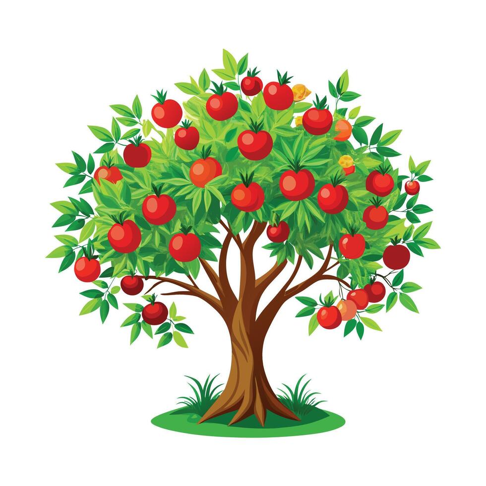 Beautiful Single Big Tree Illustration vector