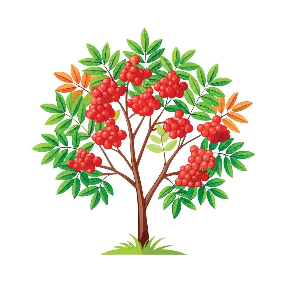 Beautiful Single Big Tree Illustration vector