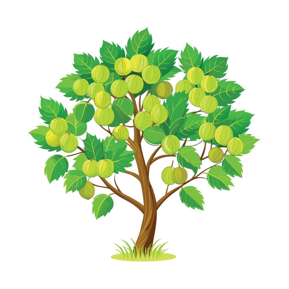 Beautiful Single Big Tree Illustration vector
