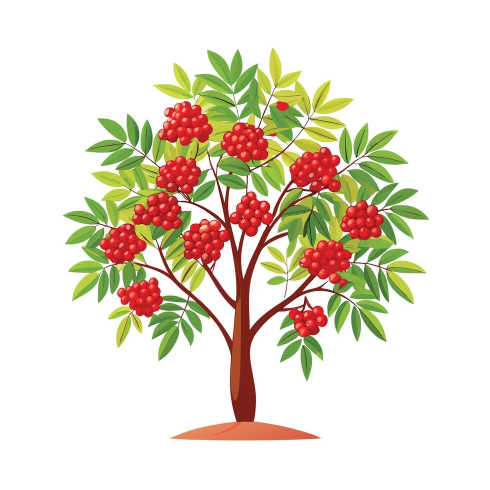 Beautiful Single Big Tree Illustration vector
