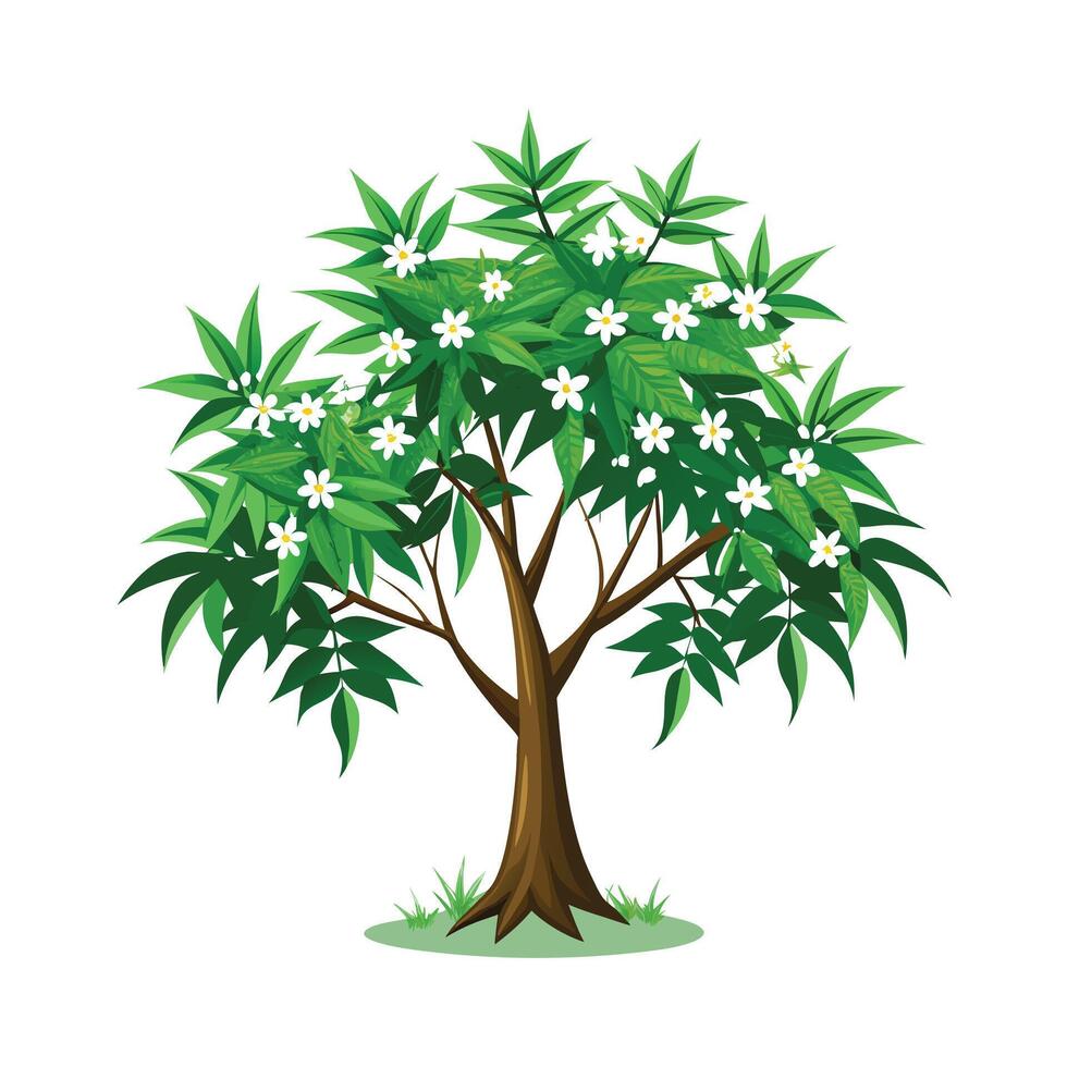 Beautiful Single Big Tree Illustration vector