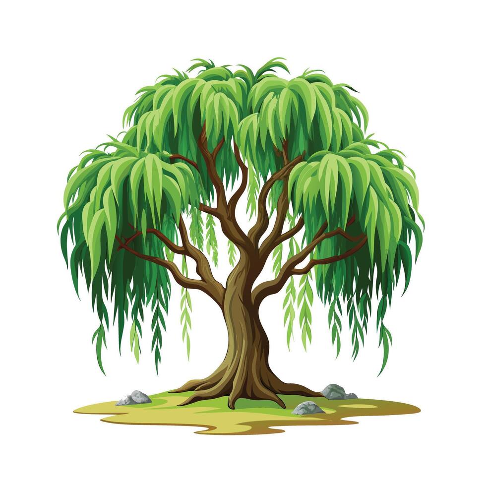 Beautiful Single Big Tree Illustration vector