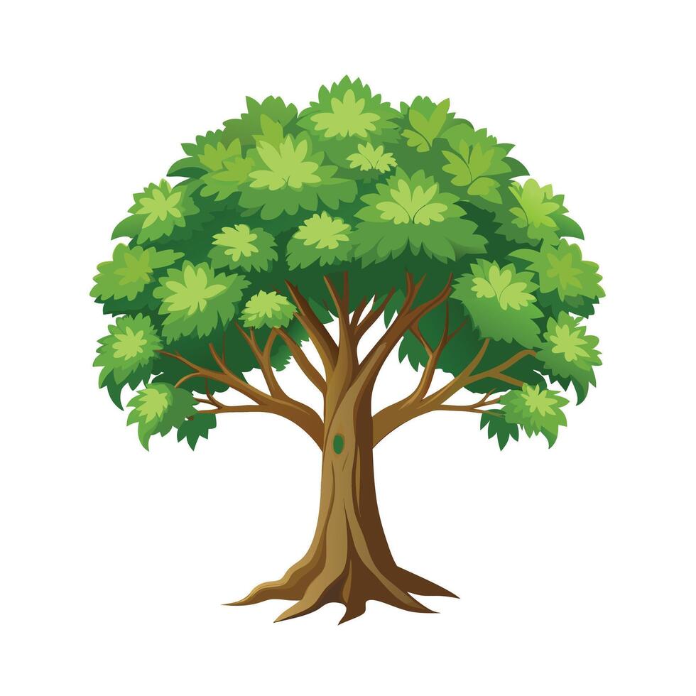 Beautiful Single Big Tree Illustration vector