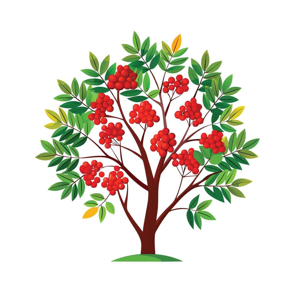 Beautiful Single Big Tree Illustration vector
