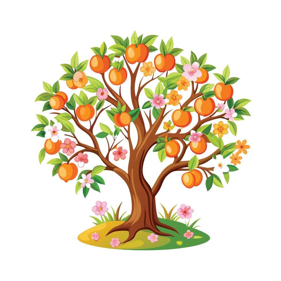 Beautiful Single Big Tree Illustration vector