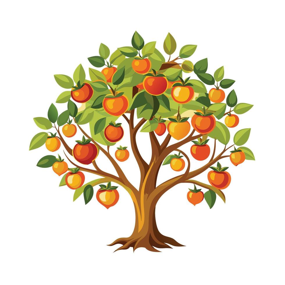 Beautiful Single Big Tree Illustration vector