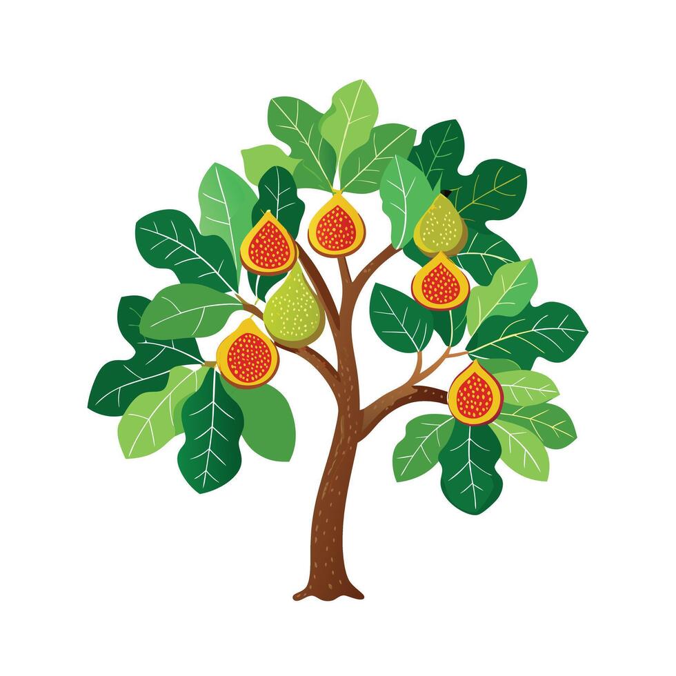 Beautiful Single Big Tree Illustration vector