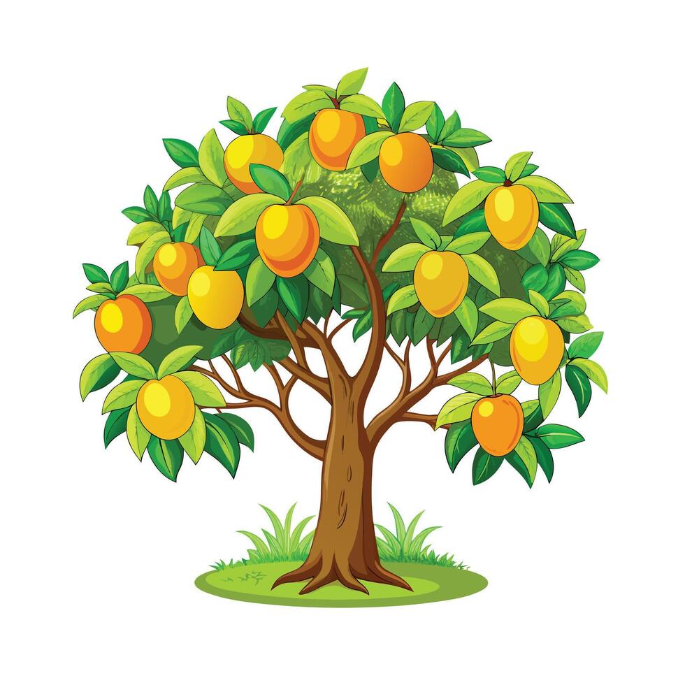 Beautiful Single Big Tree Illustration vector
