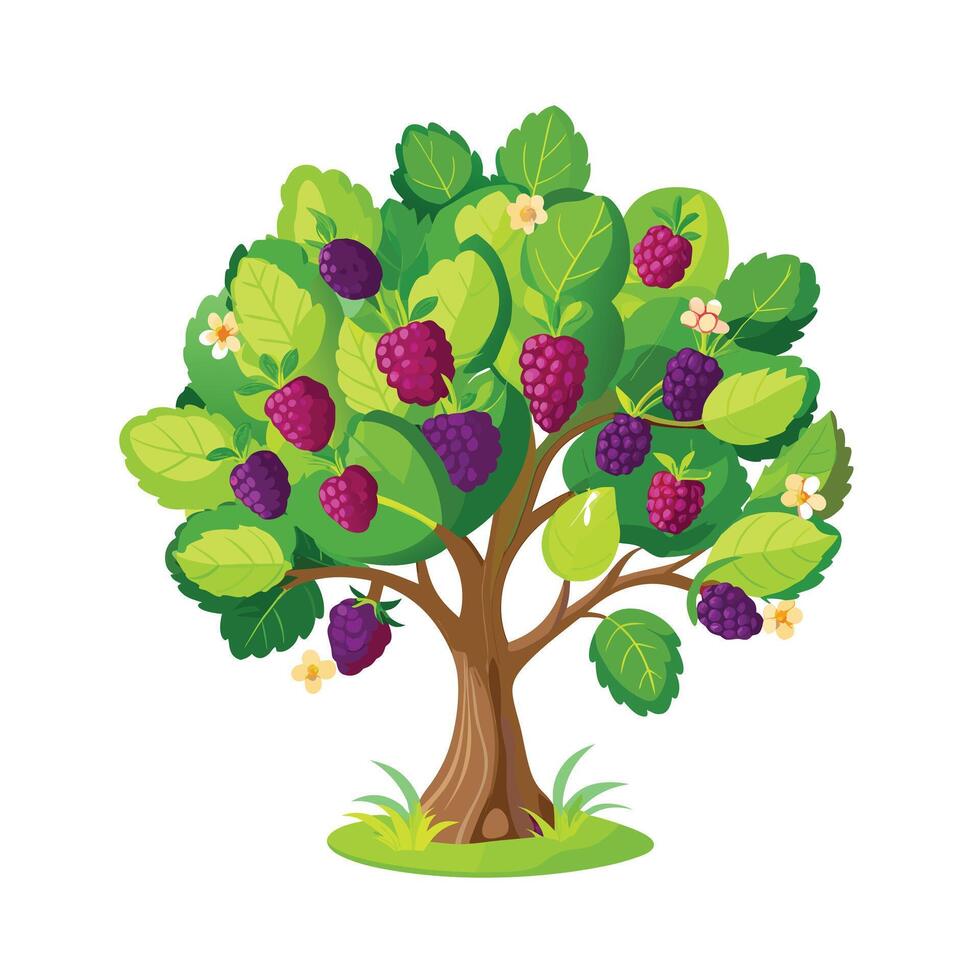 Beautiful Single Big Tree Illustration vector