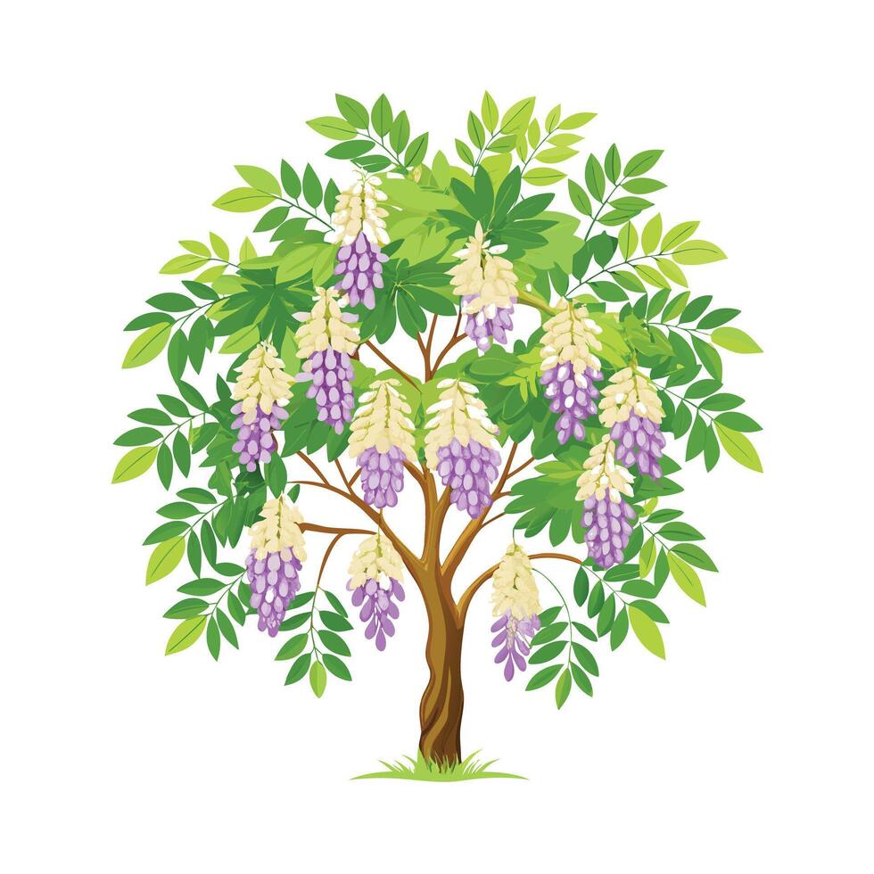 Beautiful Single Big Tree Illustration vector