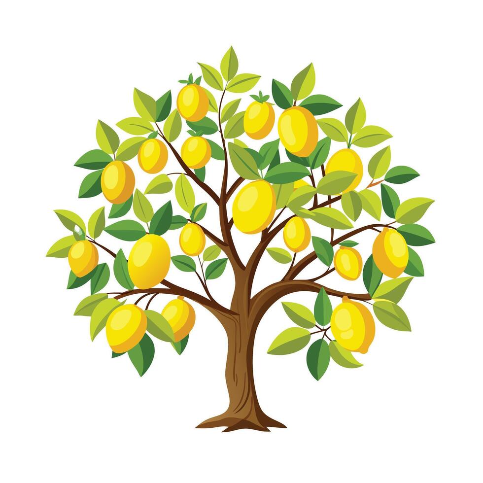 Beautiful Single Big Tree Illustration vector