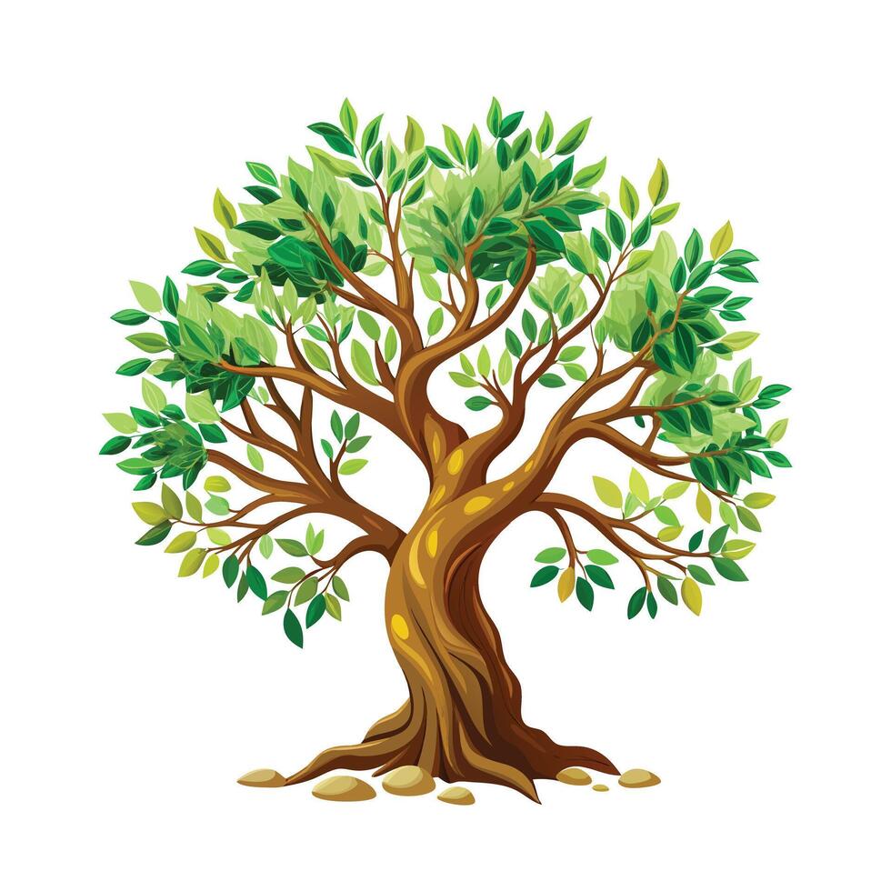 Beautiful Single Big Tree Illustration vector