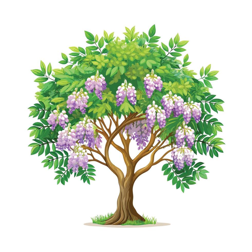 Beautiful Single Big Tree Illustration vector