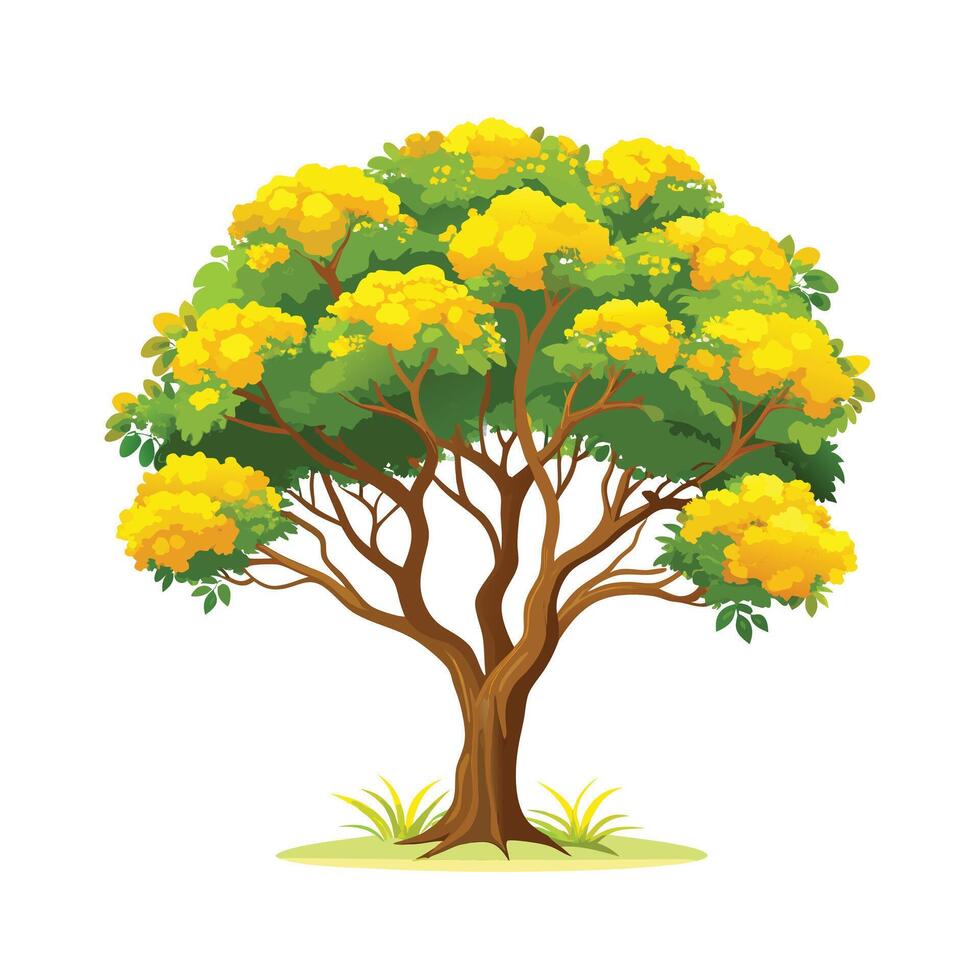 Beautiful Single Big Tree Illustration vector