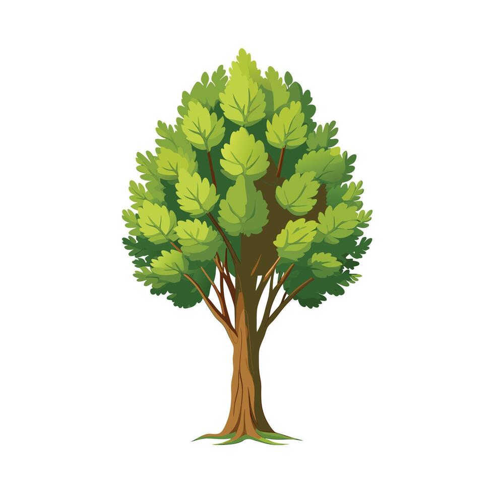Beautiful Single Big Tree Illustration vector