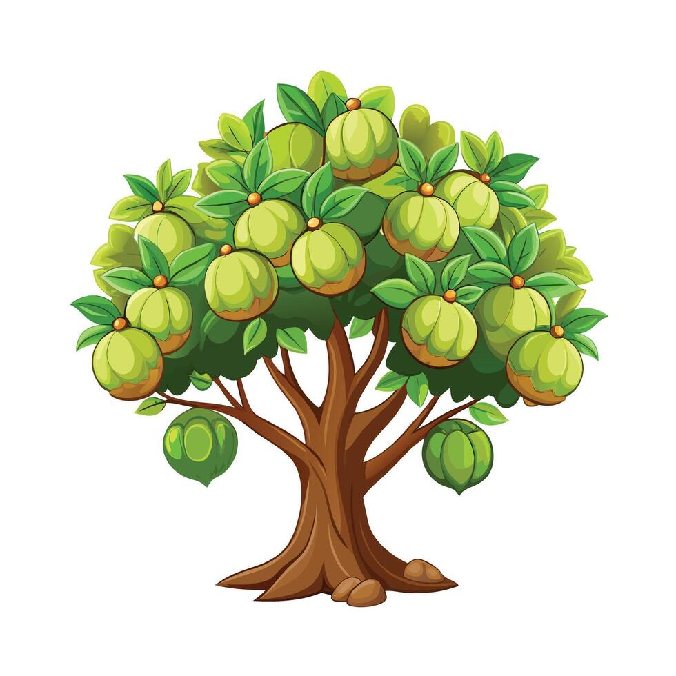 Beautiful Single Big Tree Illustration vector