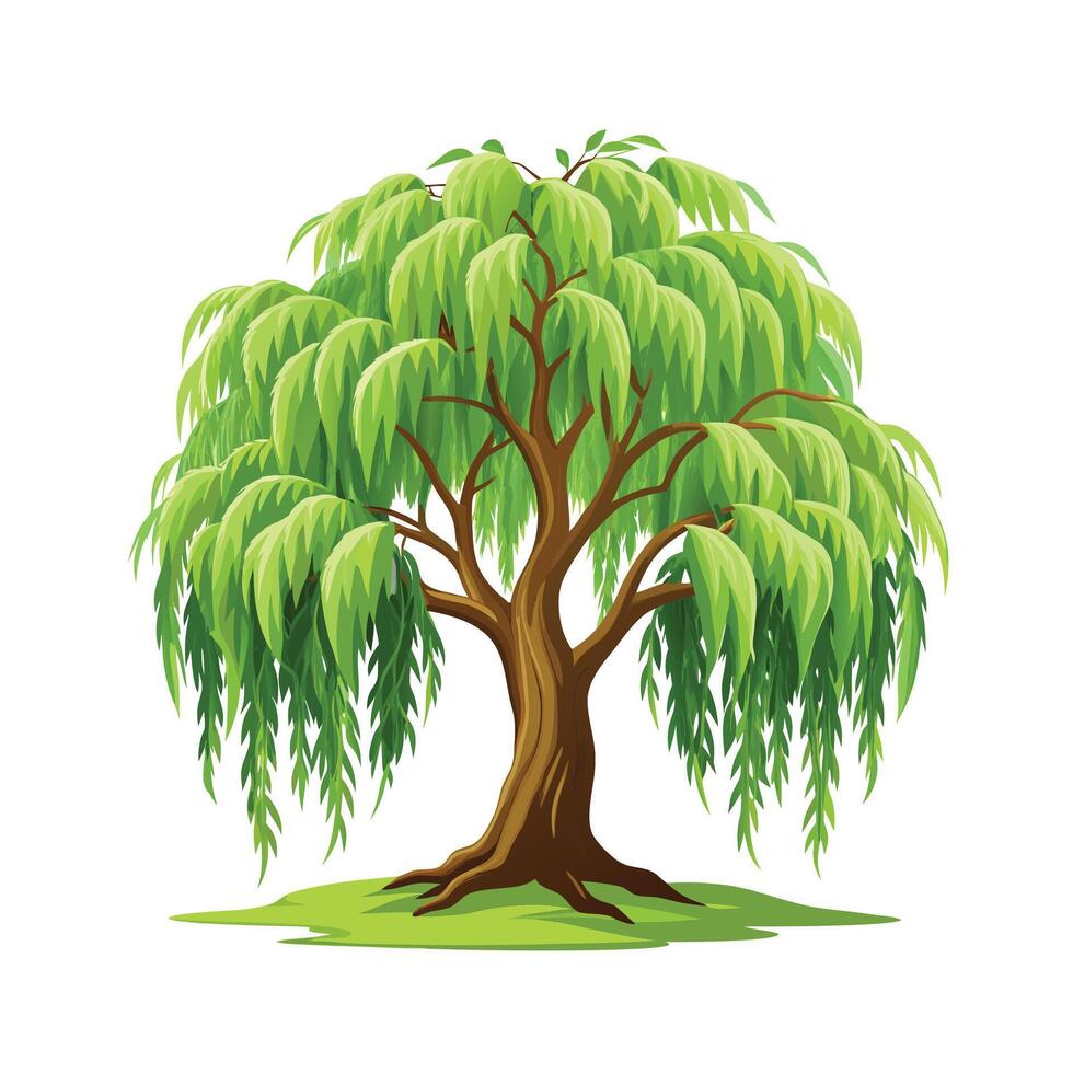 Beautiful Single Big Tree Illustration vector