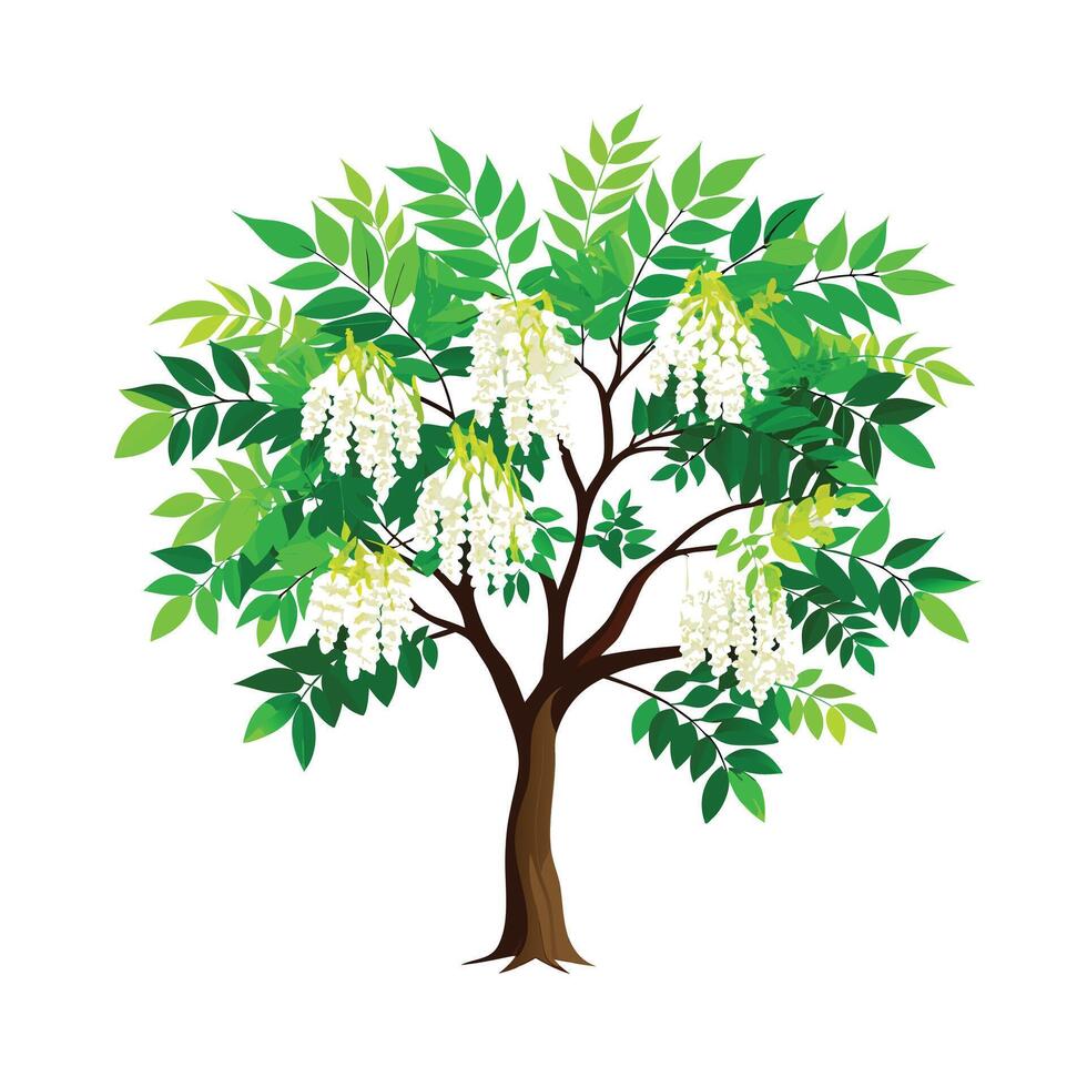Beautiful Single Big Tree Illustration vector