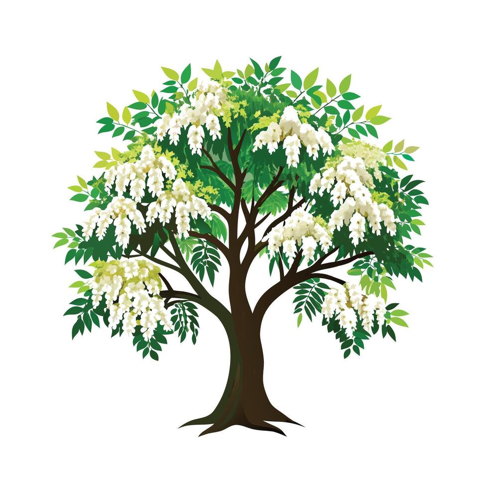 Beautiful Single Big Tree Illustration vector