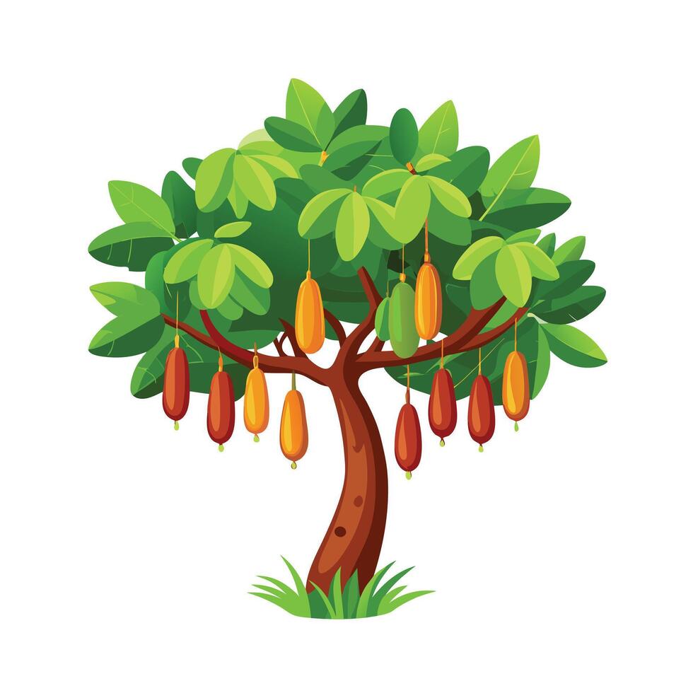 Beautiful Single Big Tree Illustration vector