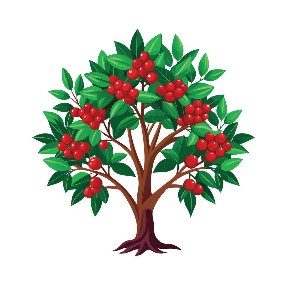 Beautiful Single Big Tree Illustration vector