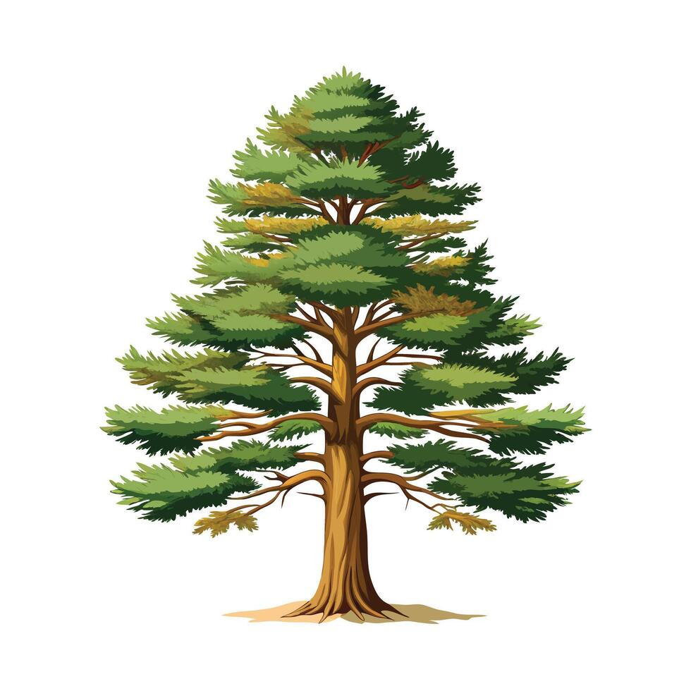 Beautiful Single Big Tree Illustration vector