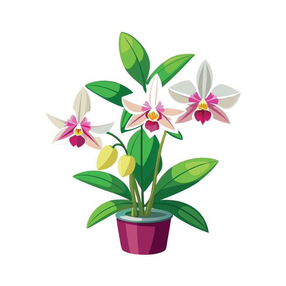 Beautiful Flowerpot Houseplant Illustration vector