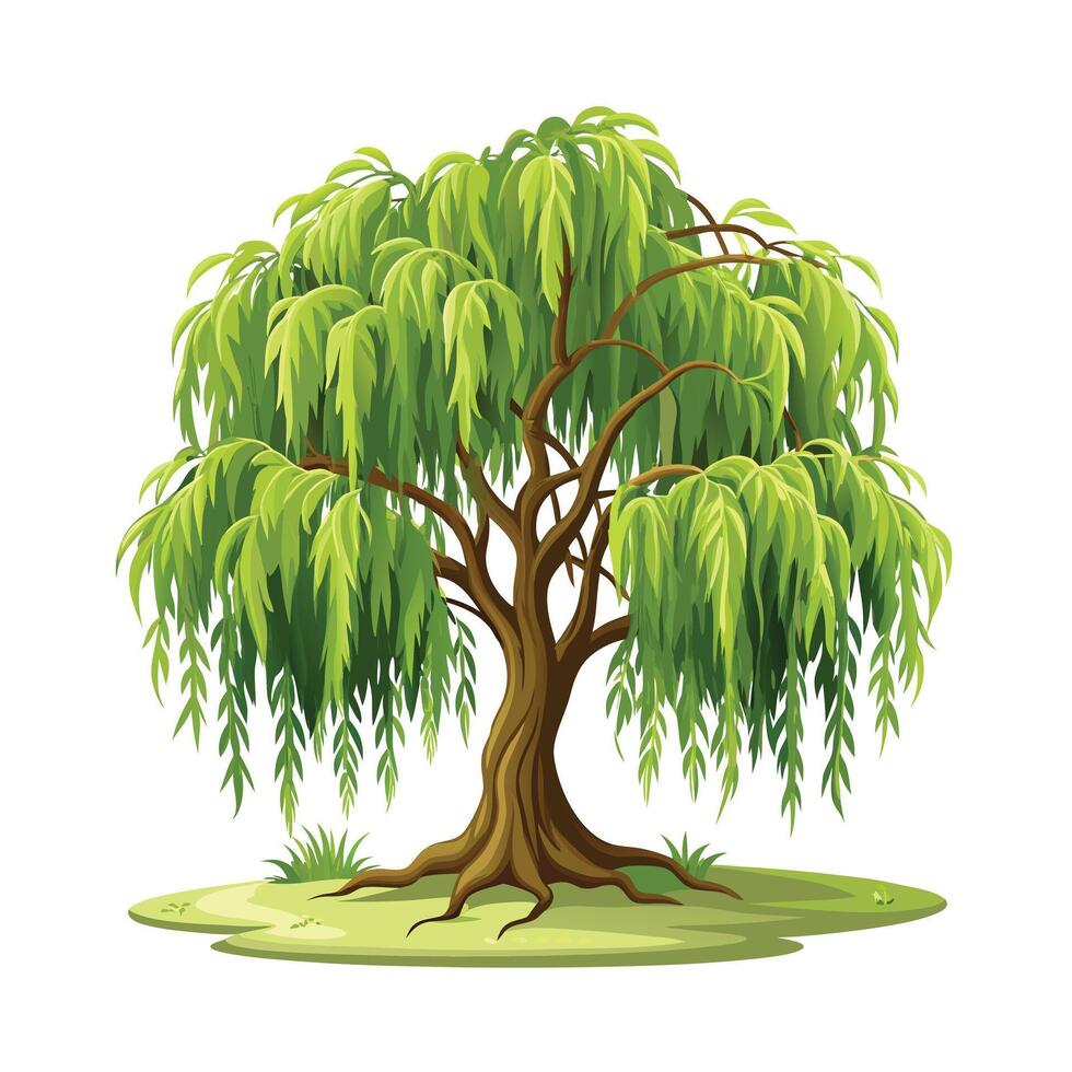Beautiful Single Big Tree Illustration vector