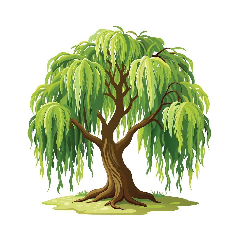Beautiful Single Big Tree Illustration vector