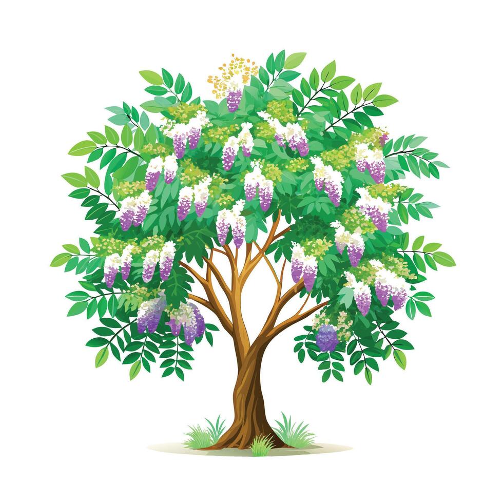 Beautiful Single Big Tree Illustration vector