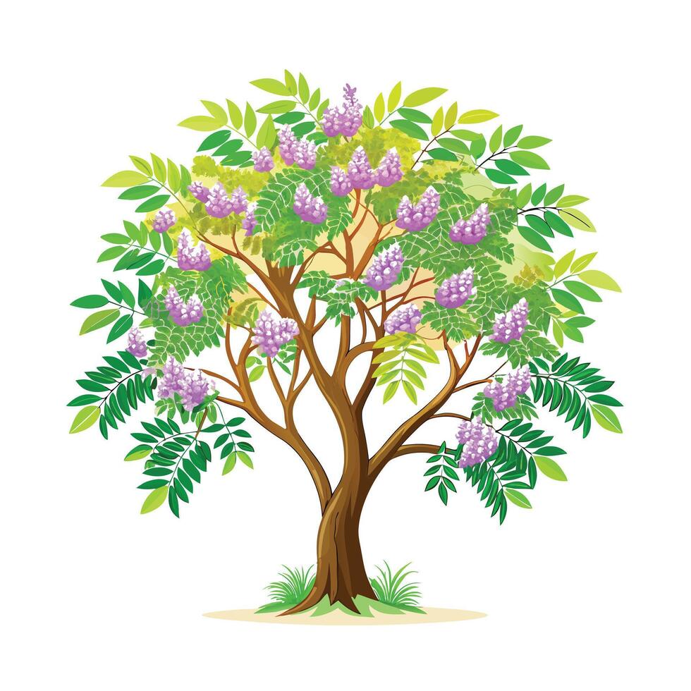 Beautiful Single Big Tree Illustration vector