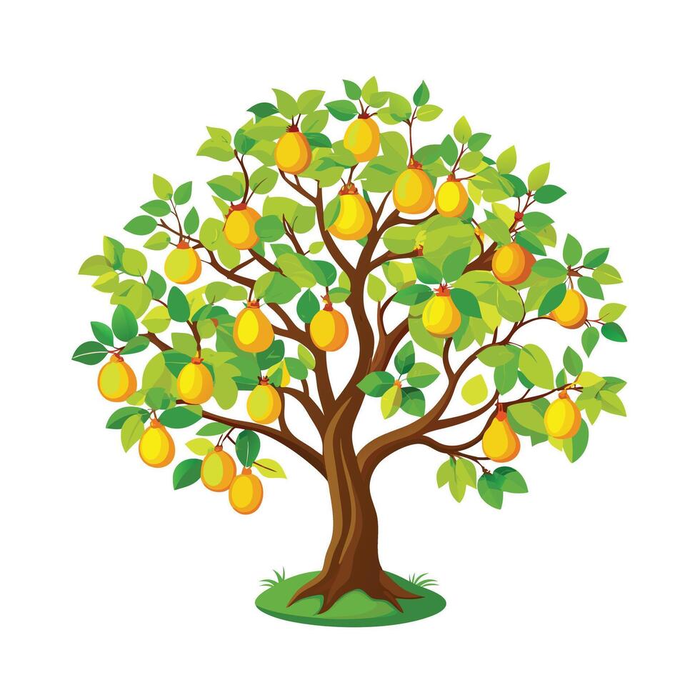 Beautiful Single Big Tree Illustration vector