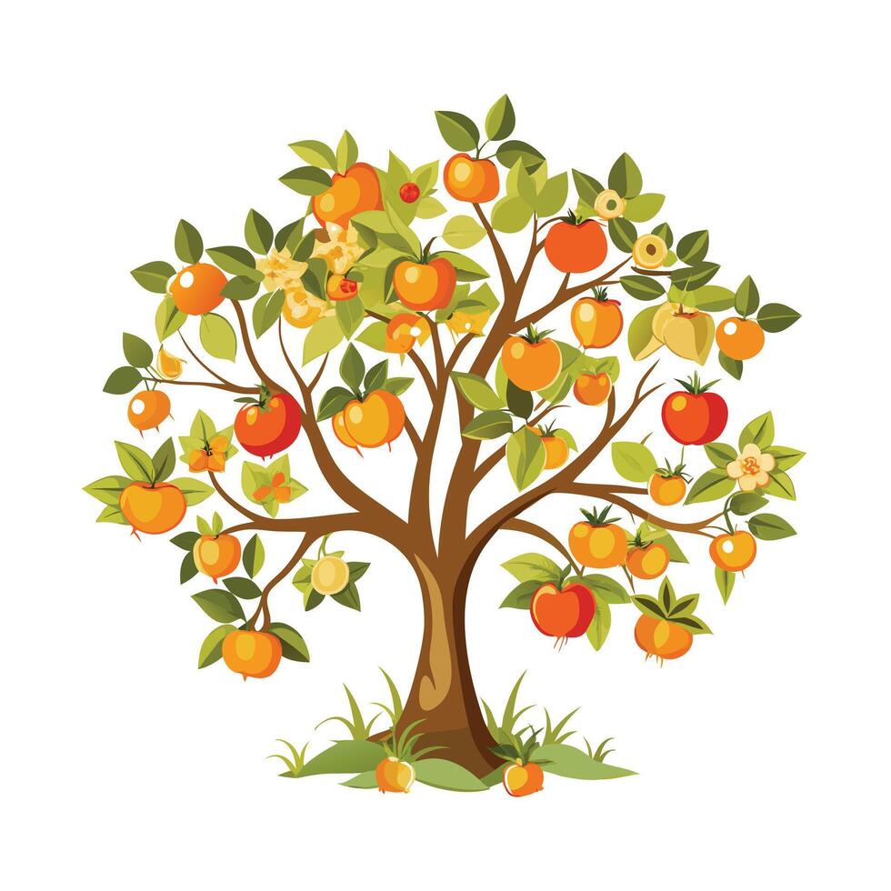 Beautiful Single Big Tree Illustration vector